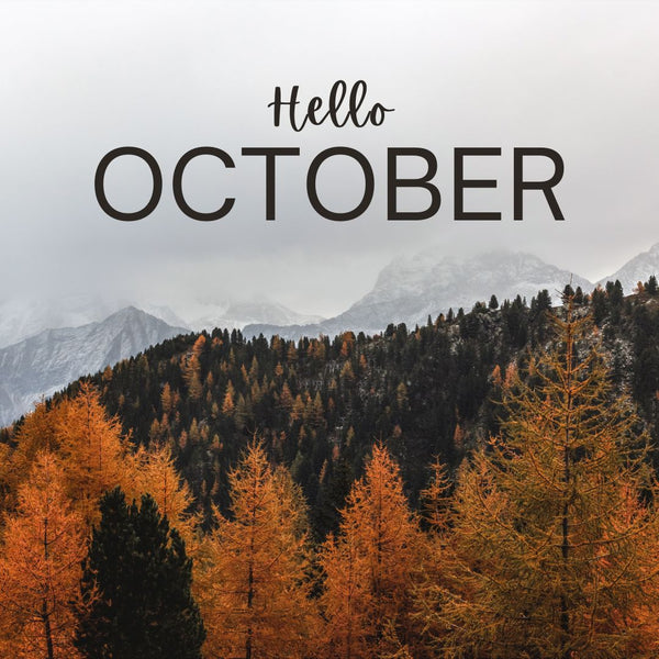 October 2025 - Enhance Your Fall Look with a Stylish Adjustable Headband!