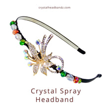 Load image into Gallery viewer, Crystal Spray Headband
